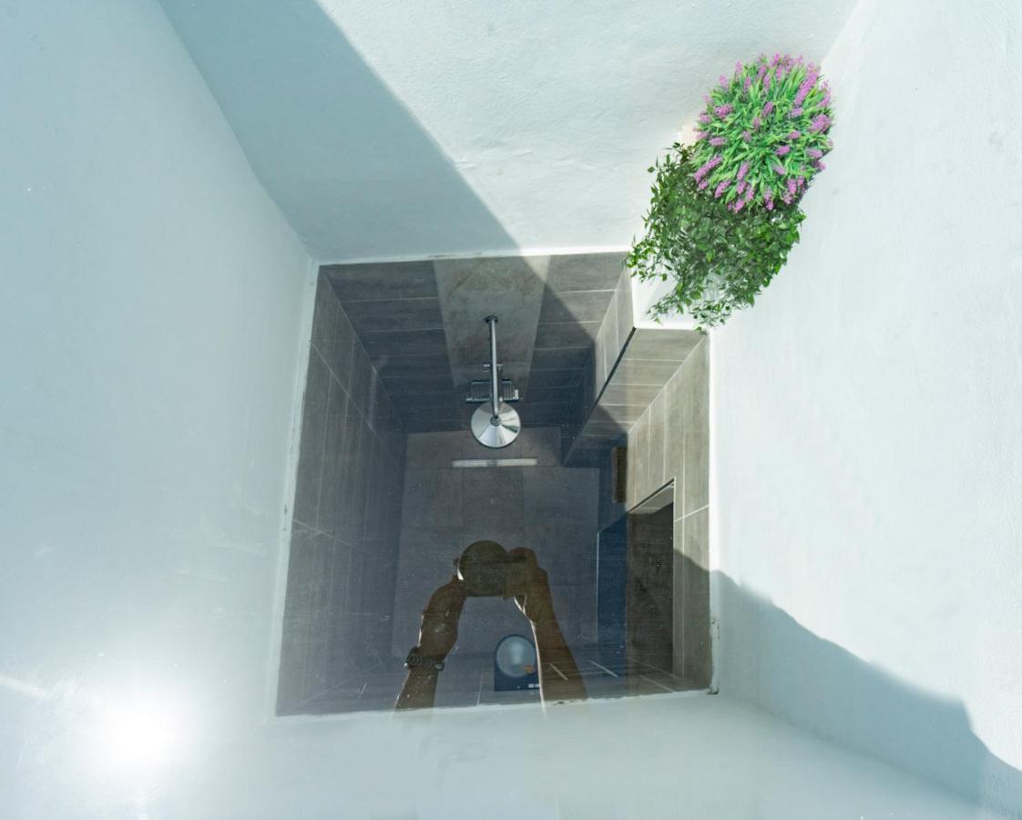 Spacious House With Huge Terrace Facing The Sea Bocacangrejo エクステリア 写真